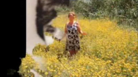 Author Diane Griffith