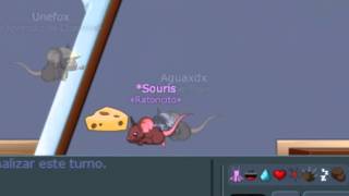 souris transformice noob