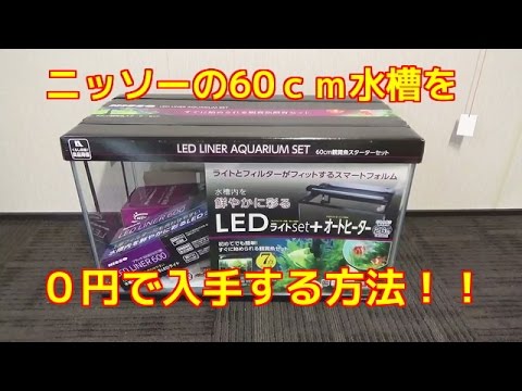 ニッソーの60ｃｍめだか水槽を０円で入手する方法 タダ無料になります 全部売れば利益も出ます Youtube