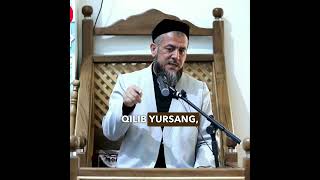 Shayx hazratlari tariqat ahlidan bo‘lganmilar?