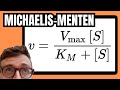 Understanding the Michaelis-Menten Equation