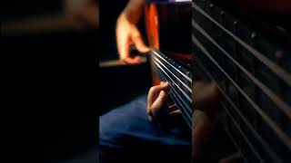 Virtue (part 3) #jessecook #flamenco #rumba #acousticguitar #beautiful #sologuitar