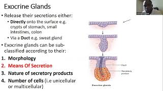 Epithelial tissue part 2 (Glandular epithelial tissue)