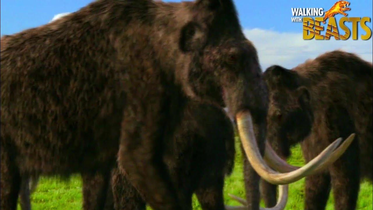 マンモス [DVD] MAMMOTH / マンモス / THE COLLECTION / 2001年