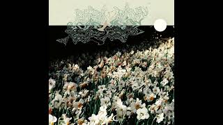 atlas - rosemary