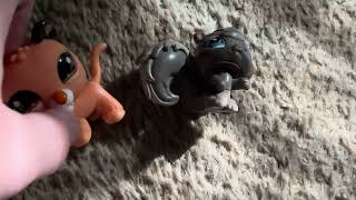 Lps Crashed Christmas Lps Christmas Special 2025