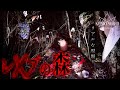 【超閲覧注意】公開する予定ではなかった映像特別公開‼︎