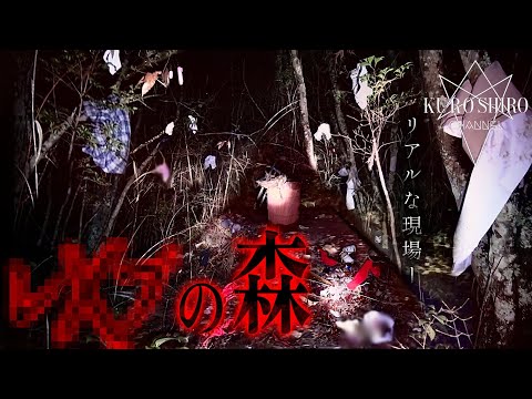 【Strictly Viewer Discretion Advised】Special release of footage that was never meant to be made pu...
