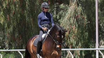 2019: How to ride Training Level Test 3