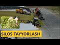 SILOS tayyorlash haqida to'liq ma'lumot! Yangi texnologiyalar.