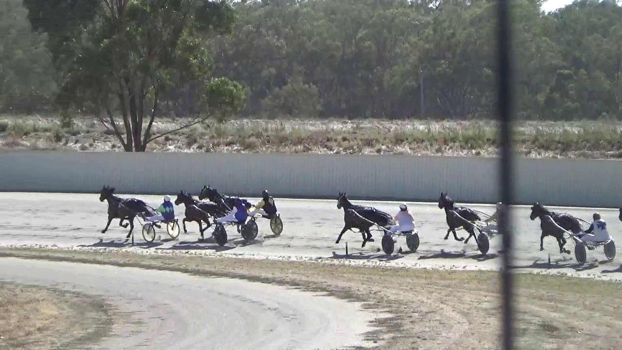 COBRAM HARNESS RACING TRIAL 1 17012021 YouTube