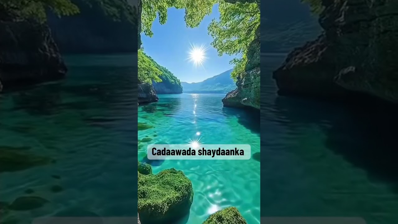 Cadaawada Shaydaanka Macalin Zuhur A Gulied  