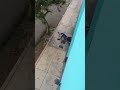 Una mujer fue maltratada en las calles de Miraflores