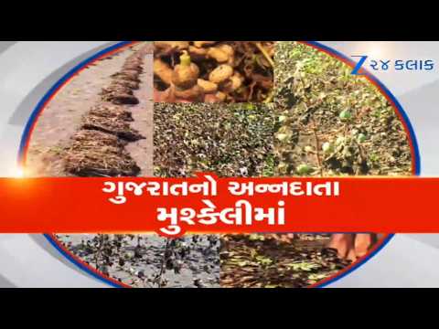 Gujaratના ખેડૂતો પર કુદરતનો માર! વરસાદ ખેંચાતા પાક સુકાવા લાગ્યો, તાત્કાલિક સહાયની કરી માંગ
