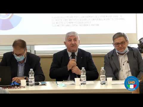 TG7 Basilicata Potenza.