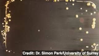 Students in Britain Create Cell Phone 'Germ Art'