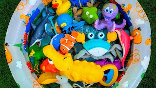 Learn Sea Animals for Kids | Fun Facts & Amazing Sea Creature Toys! Educational Video For Toddlers