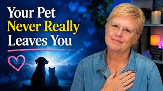 Do Pets Reincarnate? And Where Are They While They Wait? Adventures, Visits & More! #pets #heaven
