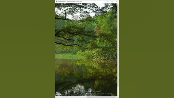 How to Enable Display confirmation dialog when deleting file in windows server 2012