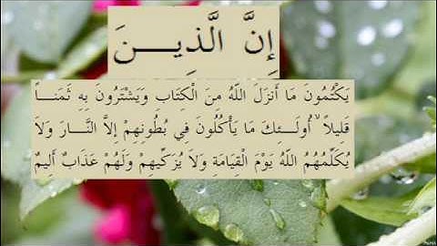 القران الكريم سورة البقرة الاية 174