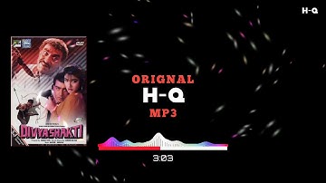 Aapko Dekh Kar (((Orignal H-Q)))Kumar Sanu, Alka Yagnik | Ajay Devgan & Raveena Tandon