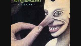 The CHAMELEONS - 'Tears' - 7" 1986 chords