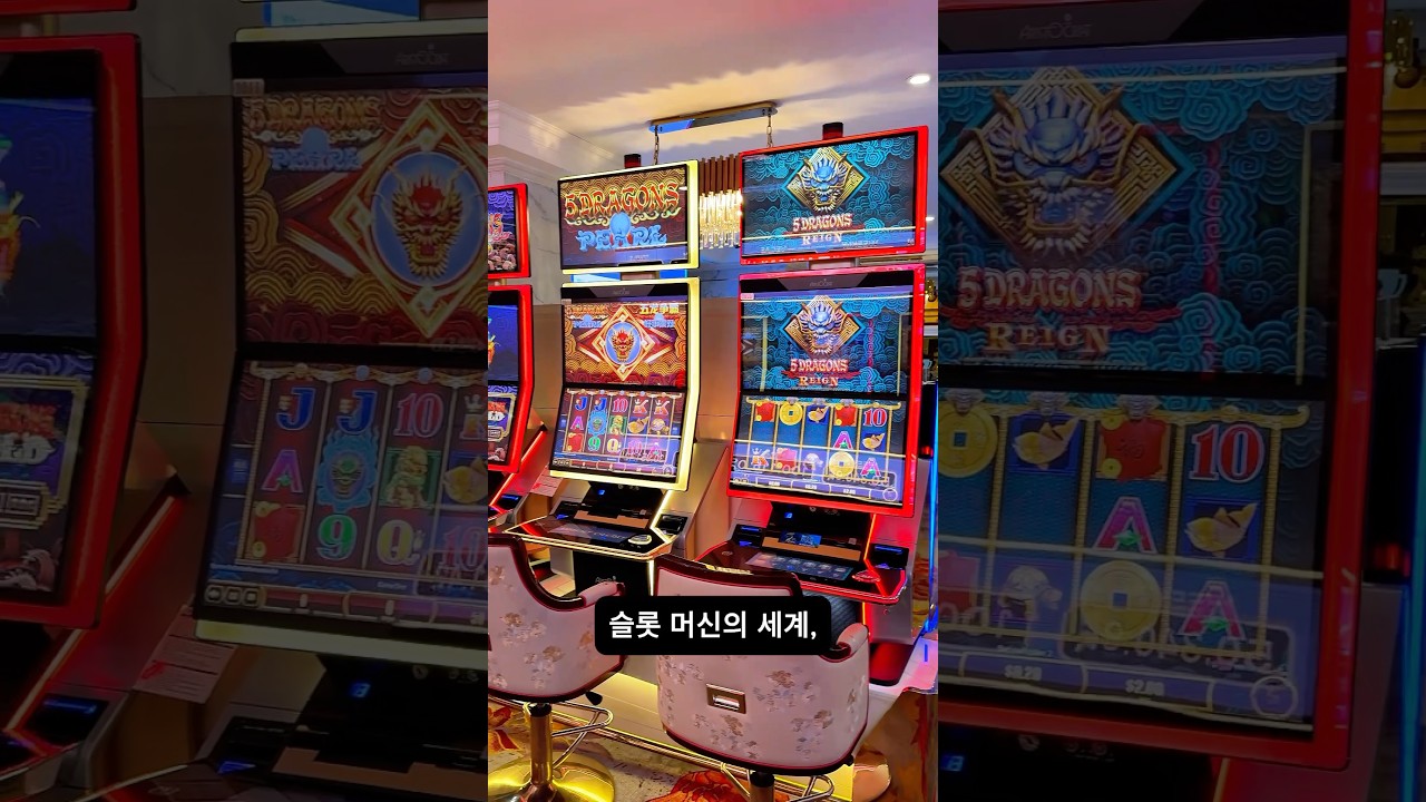 new tarzan slot machine 베트남 호치민 클럽 카지노 슬롯 리뷰