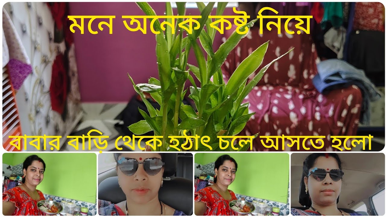 বাবার বাড়ি থেকে হঠাৎ চলে আসতে হলো// মনে অনেক কষ্ট নিয়ে🥺#banglablog #dailyvlog #villagelifestyle 