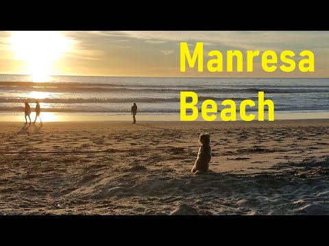 Video: Manresa shtati plyaji - Santa Cruz CA yaqinidagi lager