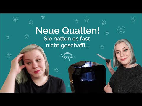 Video: Wie man sich um Fische kümmert (mit Bildern)