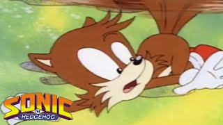 The Adventures of Sonic The Hedgehog: Subterranean Sonic | Classic Cartoons For Kids