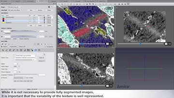 Amira-Avizo Software | How to perform Texture Classification