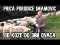 OD 1 KOZE DO 300 OVACA  (Prica porodice Imamovic)