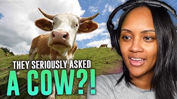 LOL!! | Funniest Animal Videos Ever (Part 1) | YOUR DAILY DOSE OF INTERNET | REACTION