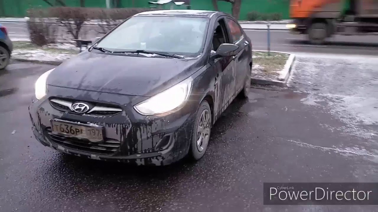 Борода обзор солярис