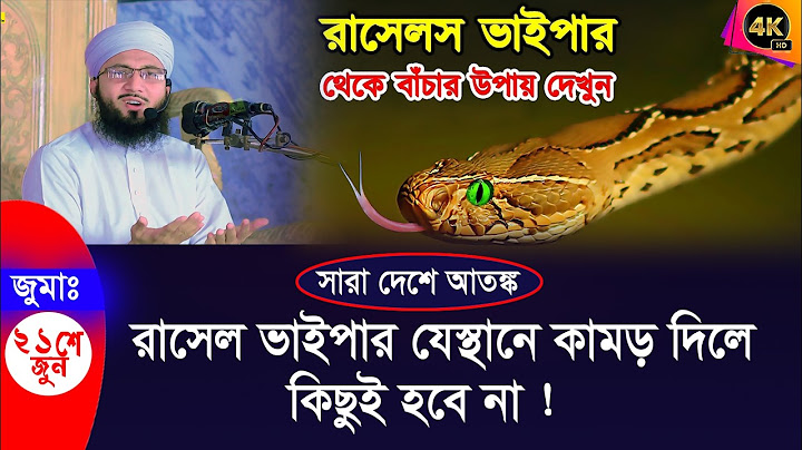 রাসেল ভাইপার যেস্থানে কামড় দিলে কিছুই হবে না ! মুফতী আব্দুর রব ফরিদী ওয়াজ Mufti Abdur Rob Foridi
