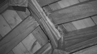 Bats Causing Trouble For England's Medieval Churches