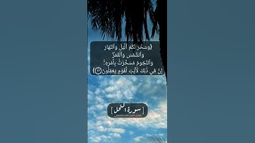 سورة النحل الآية ١٠ الى ١٣ بصوت الشيخ #ماهر_المعيقلي
