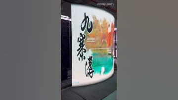 Creative Flexible Soft LED Display Screens with P2.5 GOB 240MM*120MM LED Module Chinese Manufacturer