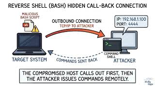 Full Bash Reverse Shell Attack Mechanics | CompTIA Security+ SY0-701 Update