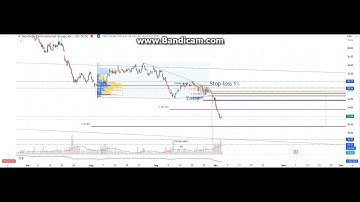 Montrose Environmental Group Inc (stock, USA, meg)             10.10.2024 Account gain 3.32%