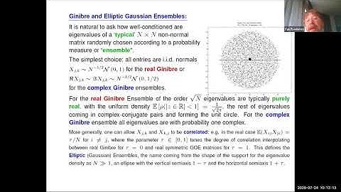 Yan Fyodorov,  On eigenvector statistics in non-normal random matrices