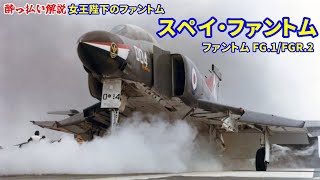 【解説】スペイファントム【航空機 戦闘機】