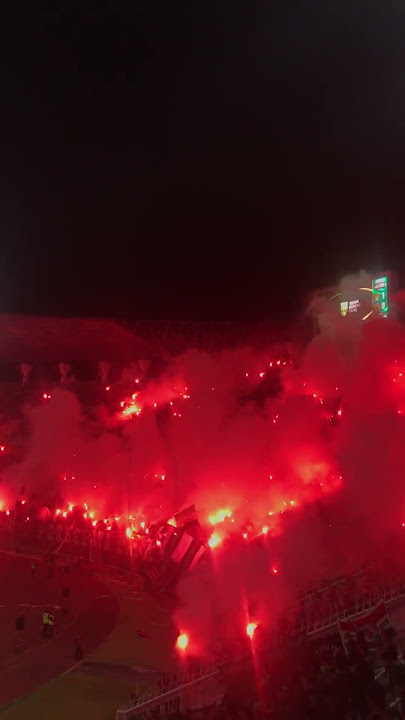 Story WA Persebaya - Chant Green Nord - Ale Green Force Ale | Forza Persebaya