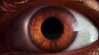 Human Eye in slow motion
