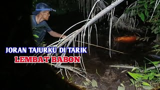 Download Lagu SPOT NAJUR DI RAWA PERGAMBUTAN SARANG LELE LEMBAT BABON #BA-20 MP3