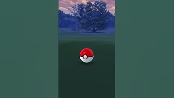 Catching Onix - Pokémon Go