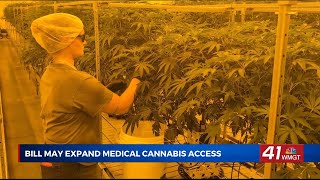 Georgia lawmakers approve Senate Bill 220 to expand medical cannabis options for patients