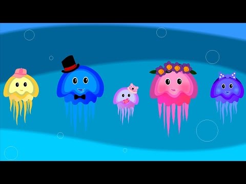 Finger Family Song Jelly Fish Fingers 