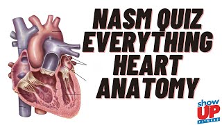 NASM quiz ch 6 everything heart w/ Show Up Fitness | Helped 2,100 people pass w/ our Study Guide